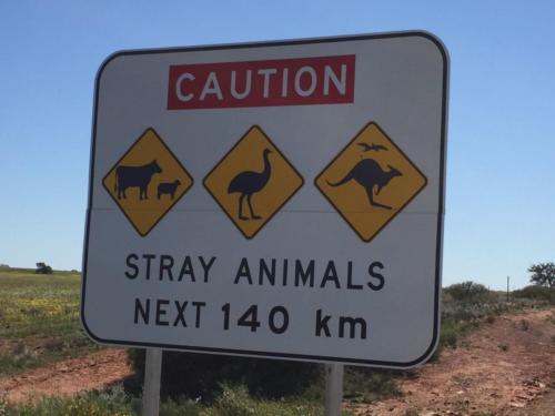 Animal Sign