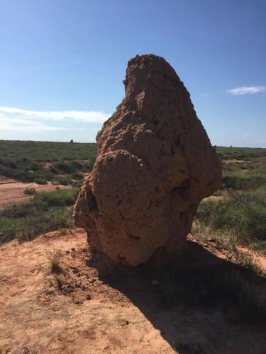 Termite Hill
