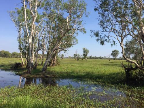 Kakadu National Park