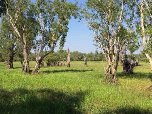 Kakadu National Park