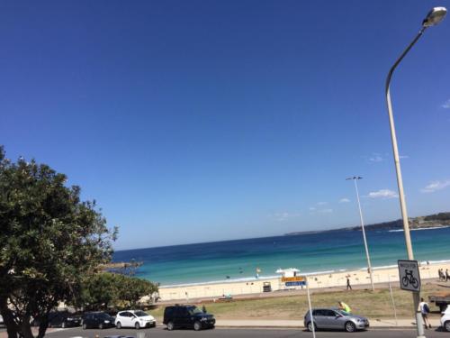 Bondi Beach