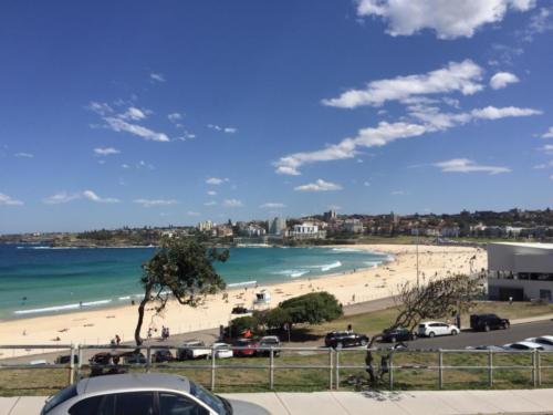 Bondi Beach